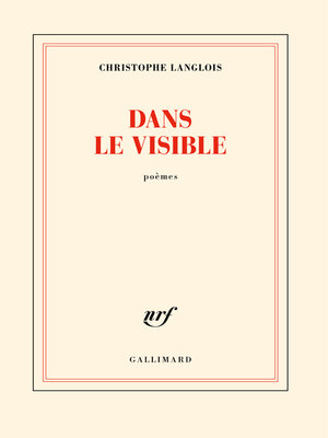 cover image of Dans le visible